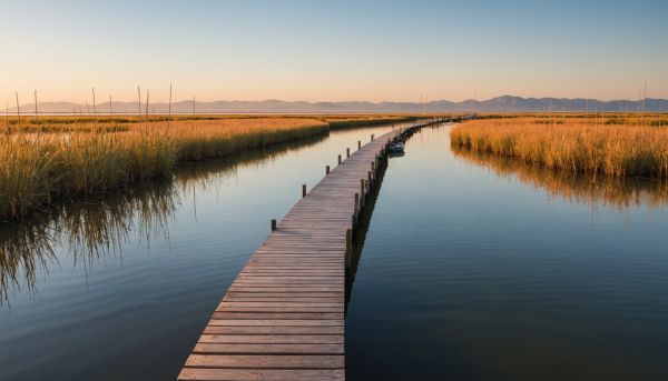 Comment profiter pleinement de l'étang de Canet ?