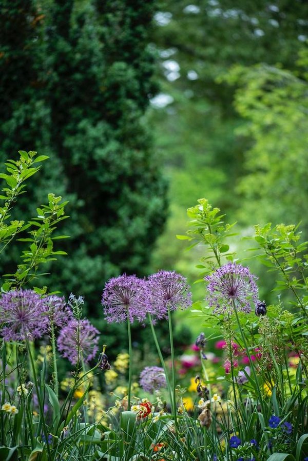 Découverte du parc d'Angers gratuit : une oasis de sérénité au cœur de la ville